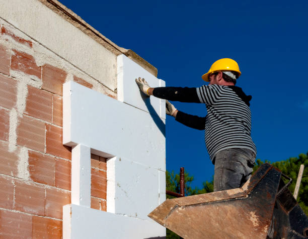Best Insulation Maintenance and Repair in Sidney, MT