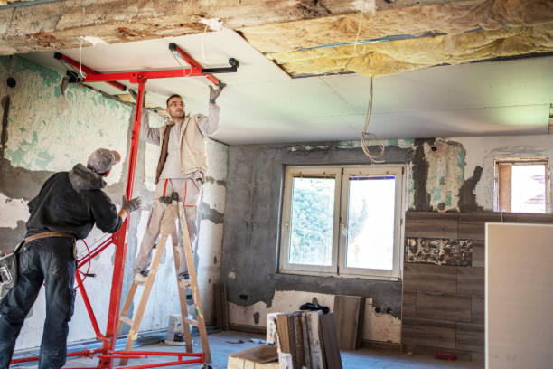 Best Residential Insulation in Sidney, MT
