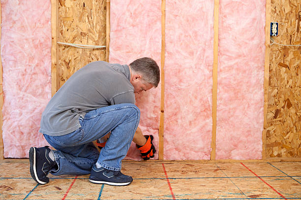 Professional Insulation Contractor in MT